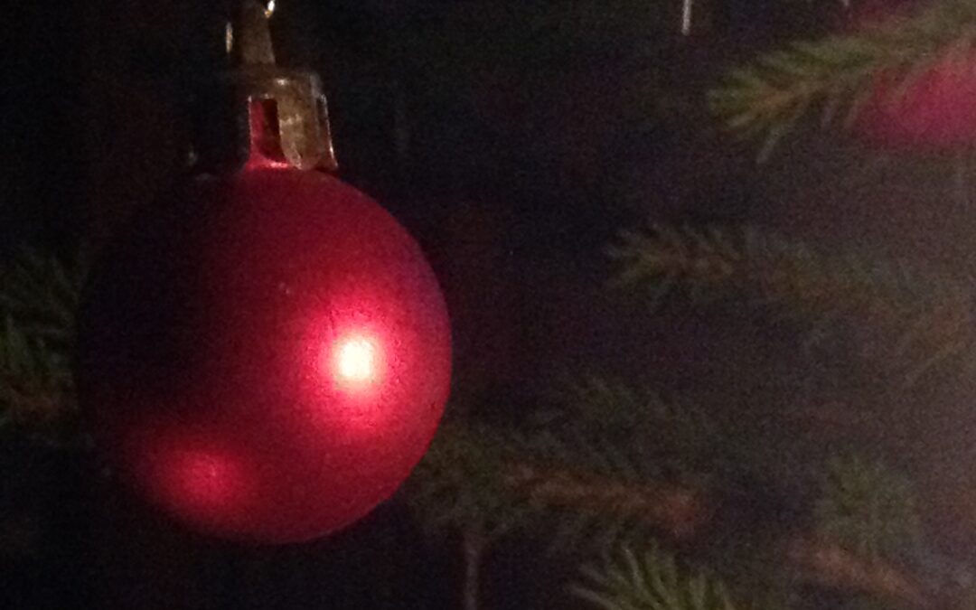 En röd julkula hänger i julgranen. God Jul! Foto Elizabeth Franzén.